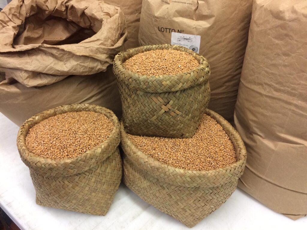 Frumento in regalo a OSF dalla Cascina Claudina