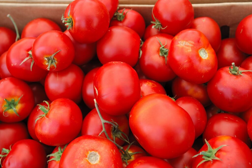 Pomodori | OSF